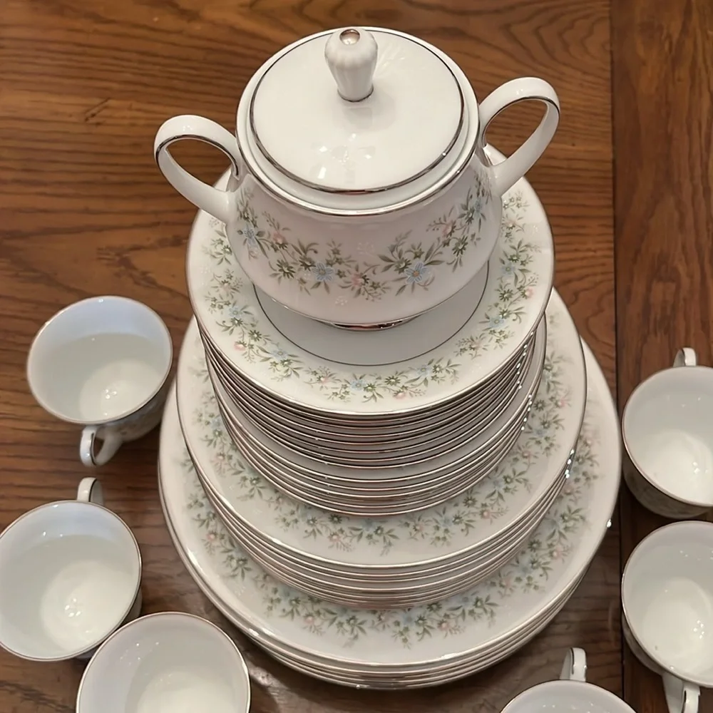 Noritake savannah china